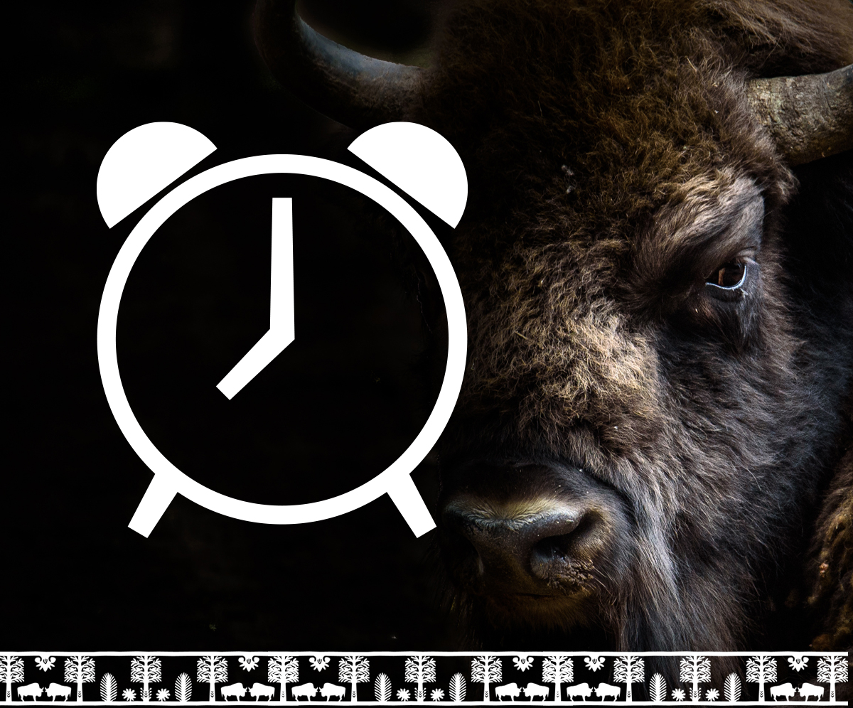 Godziny startów Bison Ultra-Trail.